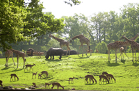 Dierentuinen Verenigd Koninkrijk