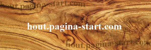 StartPagina Hout Startpagina